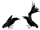 Bird Crows.gif