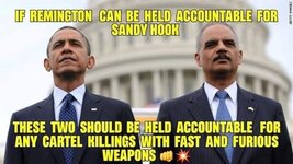 Sandy-Hook-and-Fast-and-Furious.jpg