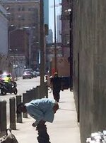 Image result for shit on city sidewalk