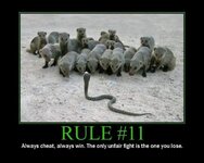Rule11.jpg