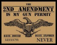 2nd ammendment gun permit - cropped.jpg