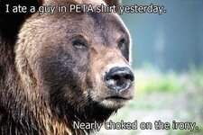 Bear PETA.jpg