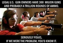 second-amendment-and-pro-gun-memes-2-if-legal-gun-owners-were-the-problem-2016-10-05-17-11.jpg