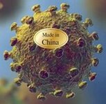 Wuhan Virus.jpg