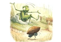 ant-grasshopper-bookaesop.jpg