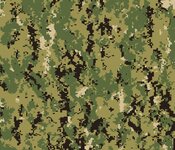 NWU_Type_III_camouflage_pattern_swatch,_AOR_2.jpg