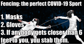Fencing.PNG