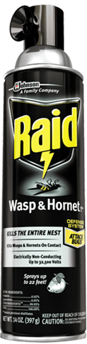 raid-wasp-and-hornet-killer-33.png