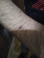 IMG_20200623_233341343.jpg