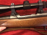 Winchester Model 70.jpg