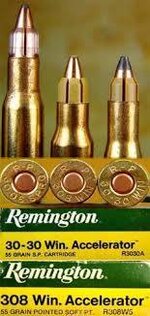 Remington accelerators sabots ammuntion ammo single cartridges