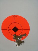 Ruger_Carbine_target.jpg