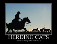 Herding Cats.jpeg
