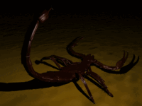 scorpion_in_the_desert_animation_by_doctorfrank-d5gkkyi.gif