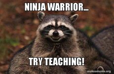 ninja-warrior-try.jpg