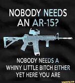 NOBODY NEEDS AN AR-15? NOBODY'NEEDS A WHINY LITTLE BITCH EITHER YET HERE  YOU ARE - iFunny :)