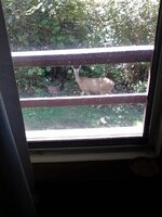 2016_0803-1.jpg