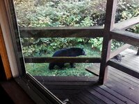 2017_1005-1.jpg