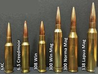 6.5-Creedmoor-vs-.300-Winchester-Magnum.jpg
