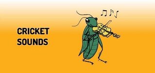 Cricket_Sounds_Preview[1].jpg