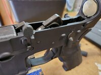 20200830_145605.jpg