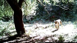 STC_1552(1).JPG