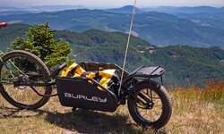 ension-single-wheel-off-road-mountain-bike-trailer.jpg