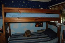 Bunk Beds (4)_Sized File.jpg