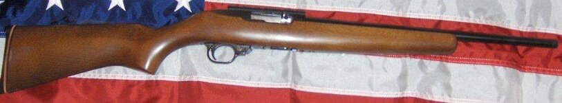Ruger 1022 carbine.JPG