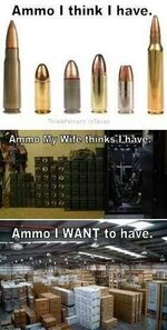 ammo I want.jpg