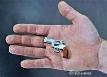worlds-smallest-gun.jpg