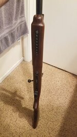 20201105_151241.jpg