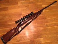 Winchester70.01.JPG