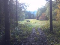 phonepicsandvids186_zps0a93c996.jpg
