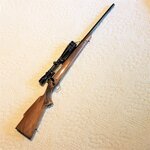 Winchester Model 70 .225 Win.jpg