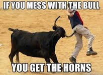 If you mess with the bull you get the horns - tendernass | Meme Generator