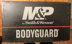 Bodyguard-03.JPG
