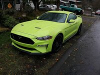 Mustang front.jpg