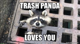 trash-panda-loves.jpg