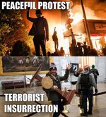 Peaceful-Protest-vs-Insurrection.jpg