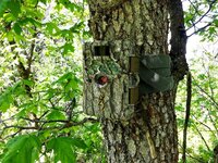 browning-recon-camo-trail-cam-l.jpg