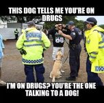 police-talking-to-dogs-on-drugs.jpg