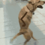 1370237359741.gif