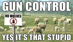 Stupid Gun control.jpeg