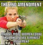 the feminist shooter.jpg