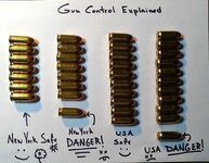 Gun Control Explained in picture.jpg