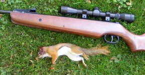 hunting-rifle-for-small-game.jpg