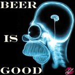 Beer-is-good-alcohol-4236706-500-500.jpg