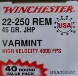 Winchester_22-250_45GR_JHP_Varmint.jpeg