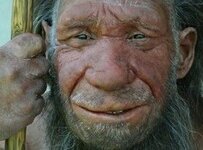 neanderthaler_278.jpg